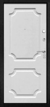 Дверь Порошок №49
